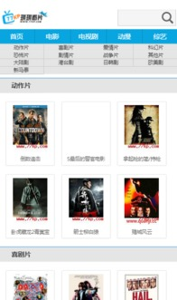 琪琪电影网在线观看平台介绍