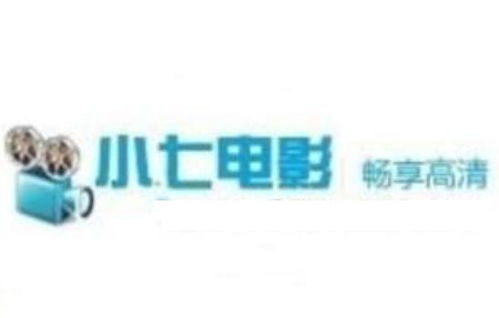 小七电影网站概述