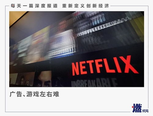 奈飞中文电影网站的会员制度