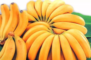 香蕉电影网内容覆盖