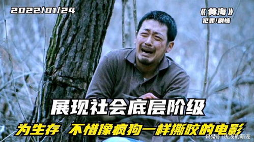 疯狗电影网简介