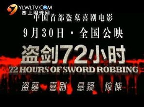 合法途径二：电影发行商官网