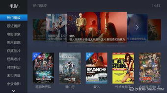 免费大片的分类