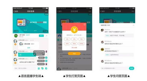 选择合适的播放方式
