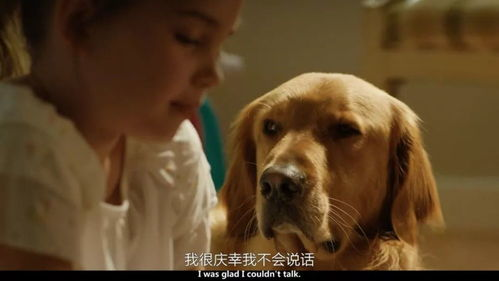 如何利用狗电影网