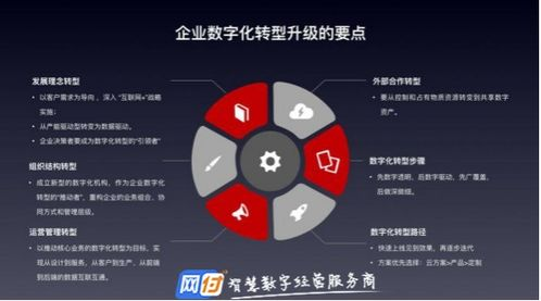 快播网的运营模式