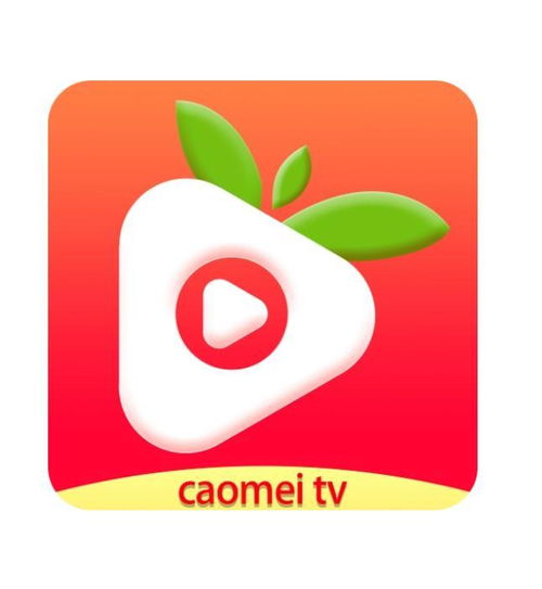 草莓电影网视频播放技术