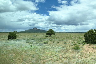 峡谷电影网简介