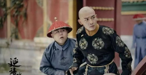 神马电影网延禧攻略简介