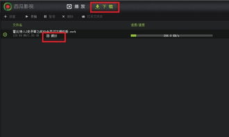 西瓜电影网最新电影的下载选项