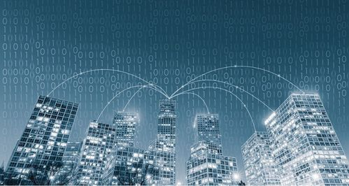 合法途径的重要性