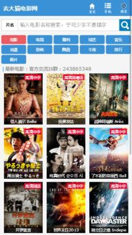 大猫电影网的特点