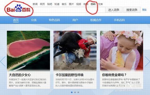 如何选择合适的更快最新电影网