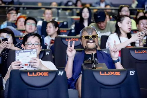 皮薇电影网的播放体验