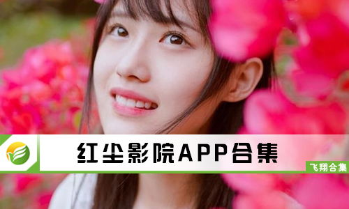 红尘电影网的优势