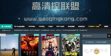 蓝光电影网站的版权问题