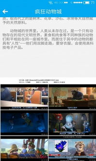 新云电影网概述