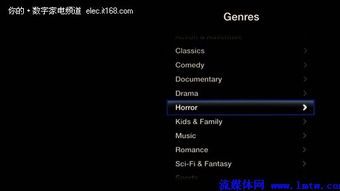 电影分类与搜索