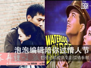 爱情电影的分类与推荐