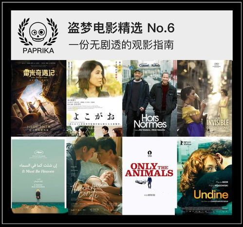 第六电影网简介