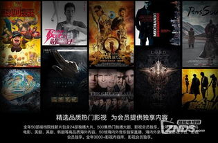 奇视电影网的会员服务