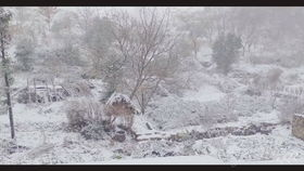 高清画质与视觉享受