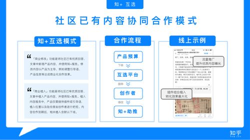 内容丰富与选择多样