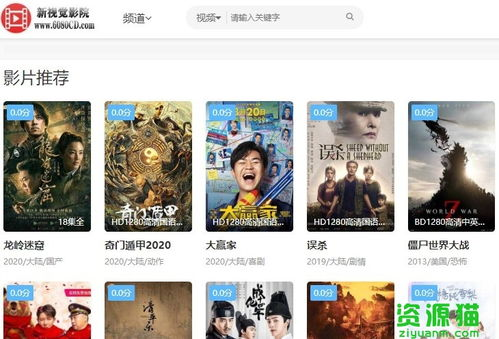 6080新视觉电影网站的介绍