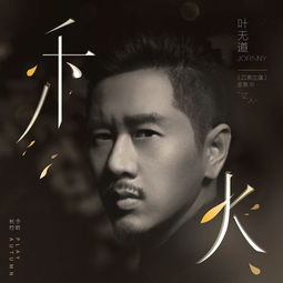 主播电影网概述