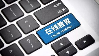 播放流畅性与稳定性