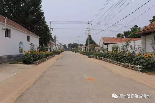 飘飘花电影网的播放线路