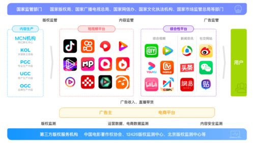 电影网的版权保护现状