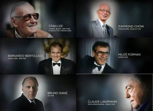 奥斯卡电影网的电影分类