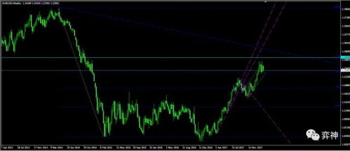 秋霞理论的核心理念