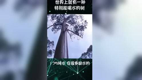 泡沫电影网的优势