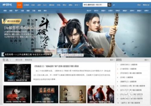 板栗电影网站的简介