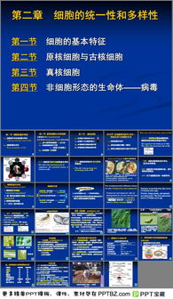 下载服务的多样性