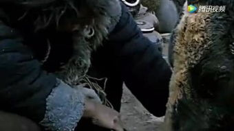 大斗牛电影的观看体验