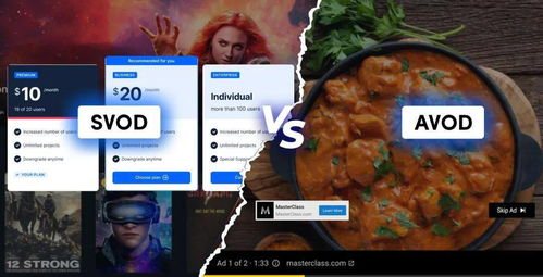 奈飞电影网的订阅模式