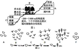 技术手段在伦理问题中的应用