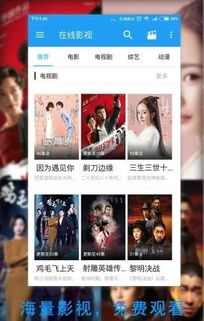 咩咩电影网的播放体验