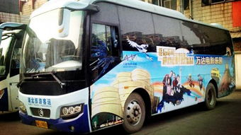 如何高效利用巴士动漫电影网