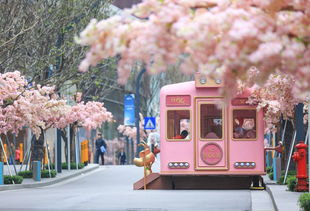 巴士动漫电影网的社区氛围