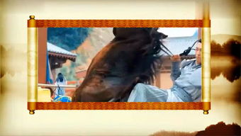 飞鱼电影网的个性化推荐