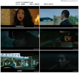 飘雪电影网介绍