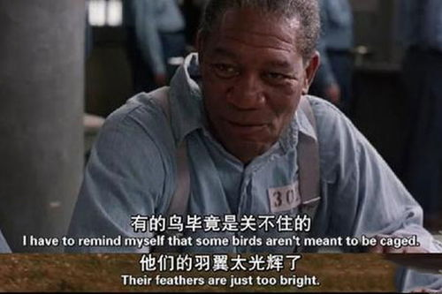 经典电影之二：《肖申克的救赎》