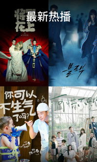 皮微电影网手机版简介