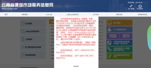 新秋霞电影网站eesuu的用户体验