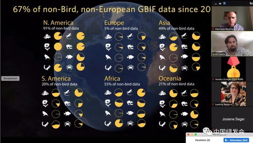 网络信息的多样性