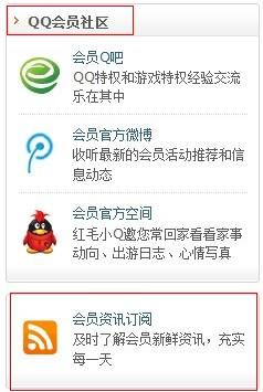 会员订阅：提供差异化服务